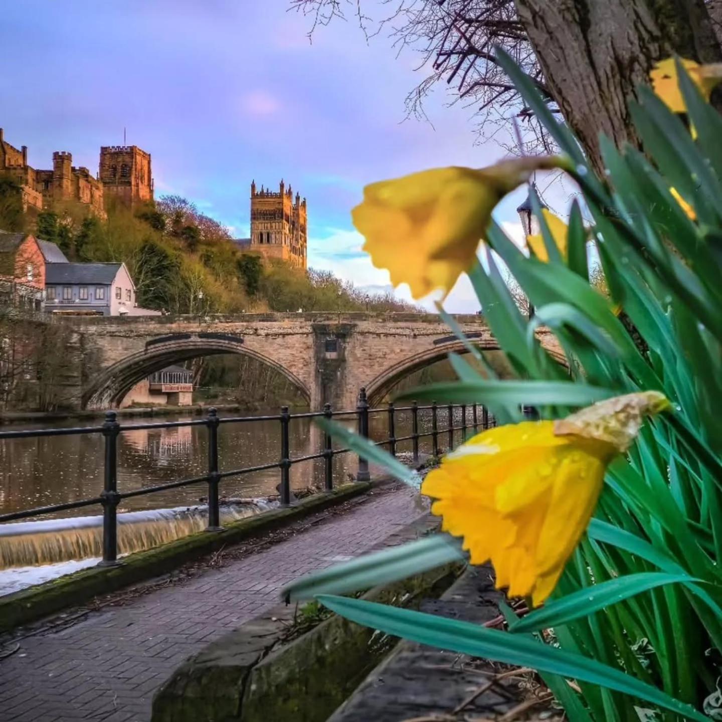 Durham Stays - The Mayor Экстерьер фото